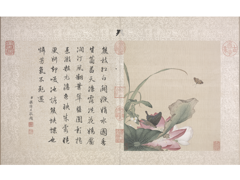 图片[8]-Lang Shining Flowers and Birds Illustrated Books-China Archive